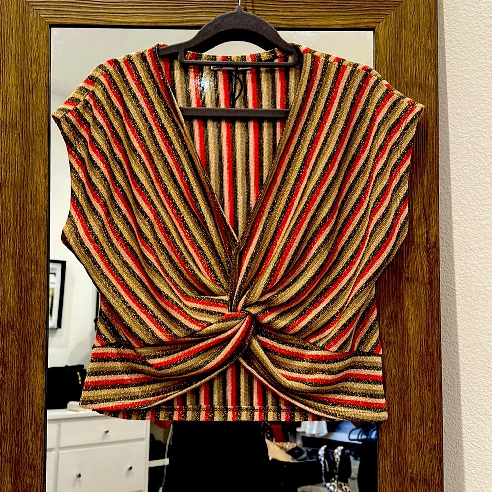 Zara Multicolor Striped Shimmer Disco crop Top size S